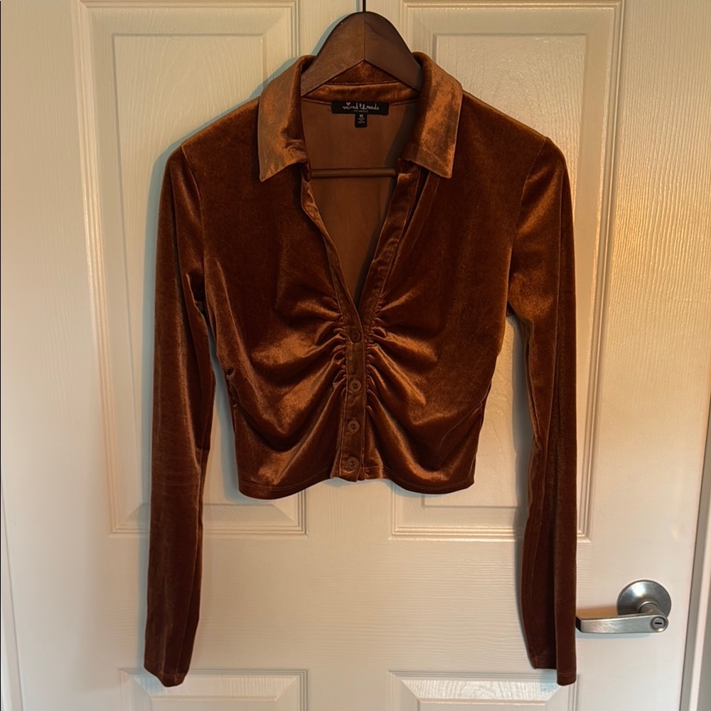 Brown Velvet Ruched Long Sleeve Button Down Shirt